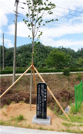 장흥 물축제 성공기원,  선호채 상임고문 기념식수