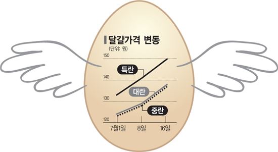 한달새 세번 인상, 날아오른 '달걀값'