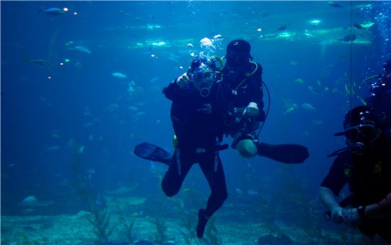 바다를 훔쳐왔다…그속에서 물고기와 논다