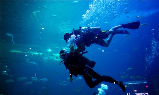 바다를 훔쳐왔다…그속에서 물고기와 논다
