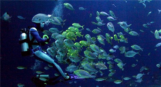 바다를 훔쳐왔다…그속에서 물고기와 논다