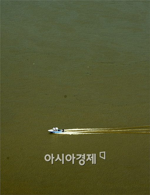 [포토]'흙탕물 사이로~'