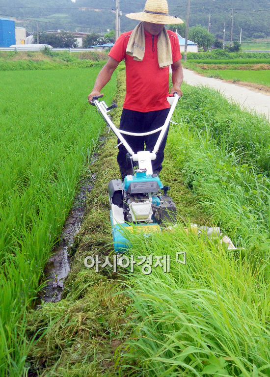 해남군, ‘논두렁 제초기’ 빌려드립니다