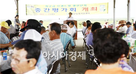 보성군, 최고급 브랜드 쌀 생산단지 중간 평가회 개최