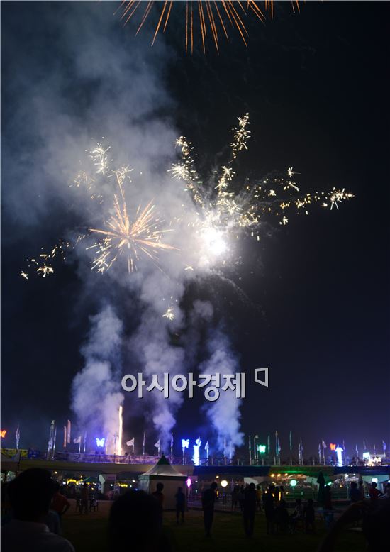[포토]장흥 탐진강변에 화려한 불꽃 수놓아 
