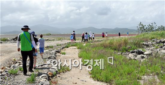 1박2일, ‘순천만 에코힐링캠프’ 에서 자연을 배워요