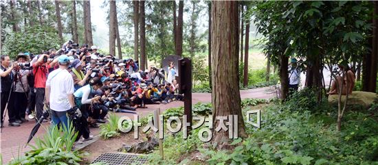 [포토]장흥 우드랜드 편백숲 누드  