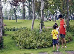 순천정원박람회 약용식물 해설 프로그램 운영