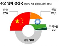 인도 선거 판세는 ‘양파 값’이 쥐고 있다