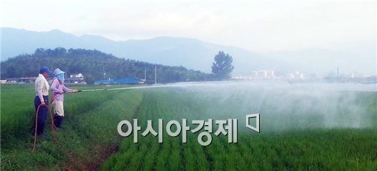 구례군, 벼 친환경농업단지 공동살포 작업 완료