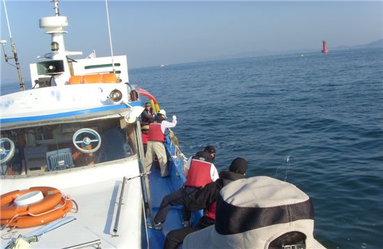 보령 앞바다 ‘백조기(보구치)’ 선상낚시 인기