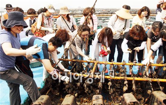 완도 해조류 알리는데 영호남이 힘을 합했다