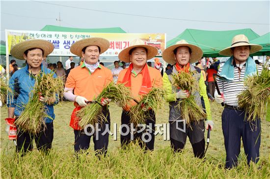 순천시, 전국최초 첫 노지 벼 베기 성황!