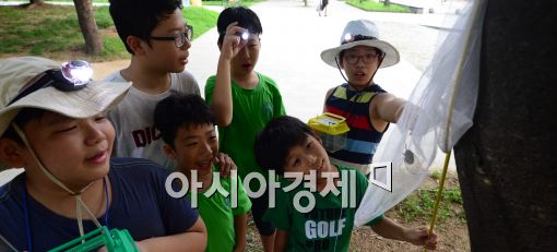 [포토]무더위 속 매미잡기