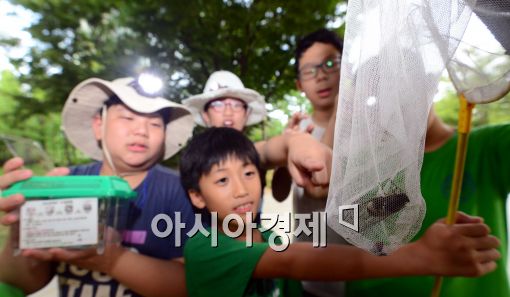 [포토]'매미 잡았다!'