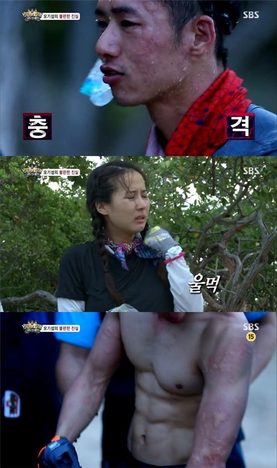 모기떼 습격 '정글의 법칙', 시청률 상승…동시간 '1위'