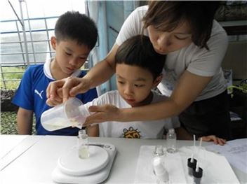 로즈마리의 효능 "기억력·집중력 향상…요리에도 쓰여"