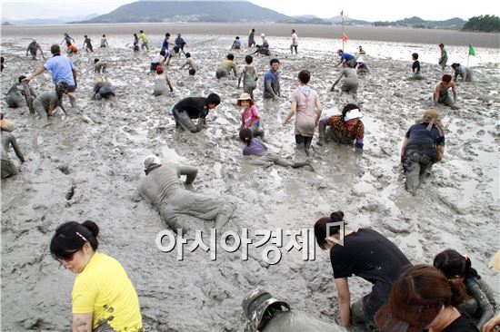 보성군 레저뻘배대회 성료