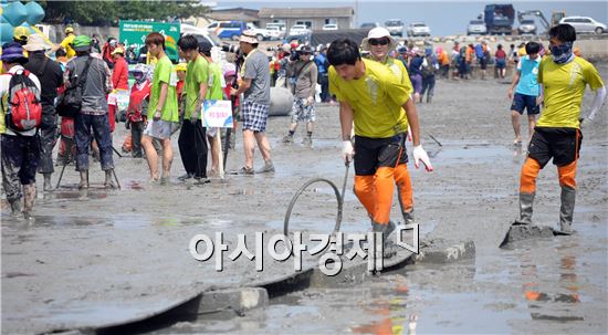 고흥군, ‘2013 고흥머드림픽’ 대성황 이뤄