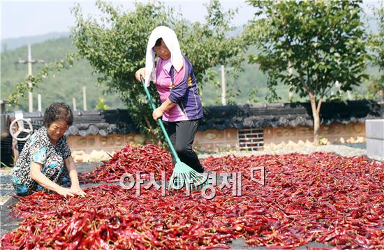 [포토]벌써 가을인가요?