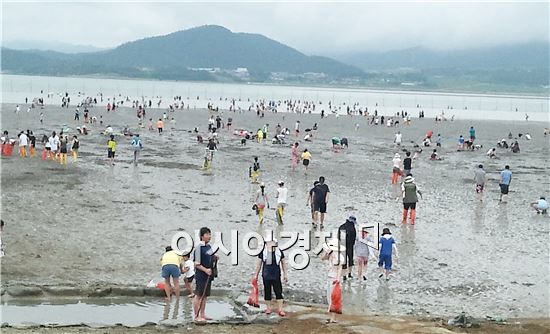 외국인도 매료시킨 완도 달도마을 갯벌체험 성료