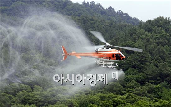 보성군, 밤나무 병해충 항공방제 7일~10일 실시 