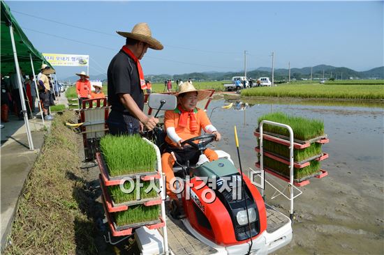 순천시 전국 최초, 벼 2기작 시범단지 모내기 실시