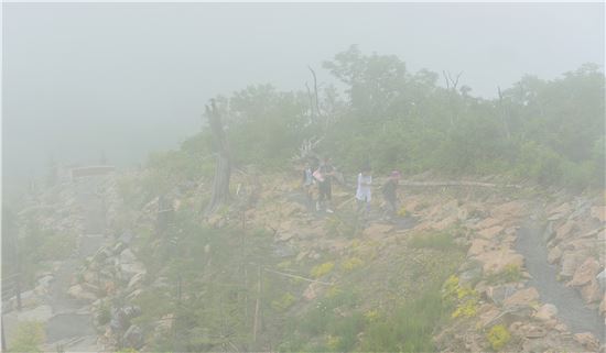 운무에 쌓인 하이원마운틴탑에서 하늘길을 걷고 있는 여행객들. 