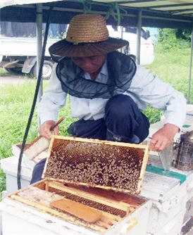 광주시농업기술센터, 양봉 소초광(꿀 벌집) 보급