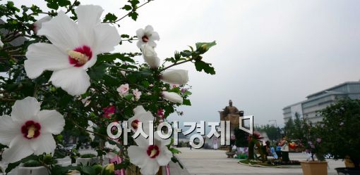 [포토]무궁화 핀 광화문 도심