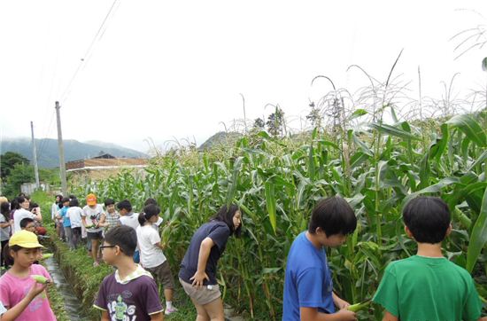  도·농 어린이가 함께하는 어린이 농촌체험 