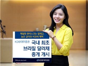 KDB대우證, 브라질 달러채 중개 