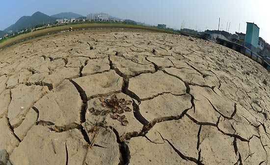 마른 장마가 지속되면서 가뭄이 심각해지고 있다.
