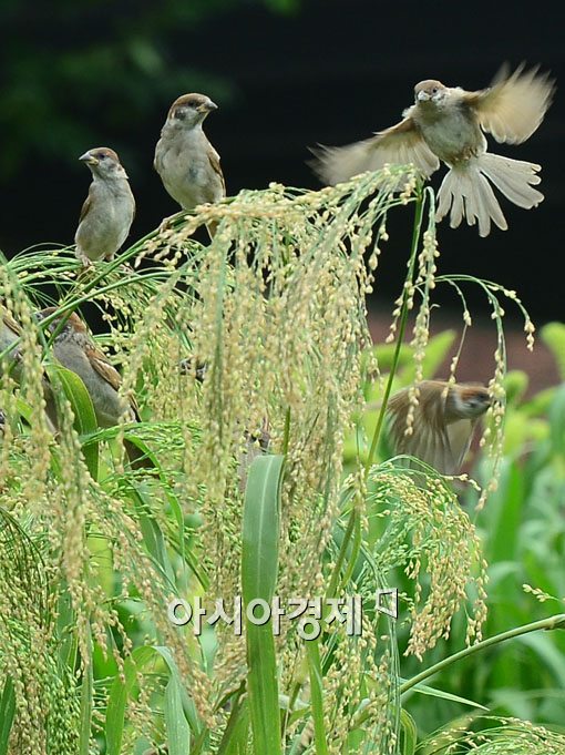 [포토]가을이 성큼 