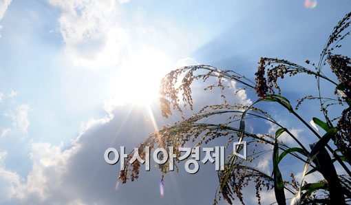 [포토]무르익어 가는 가을