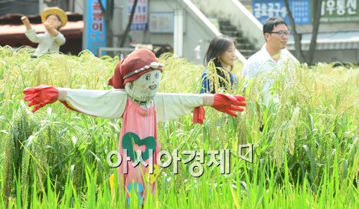 [포토]처서를 사흘 앞두고 