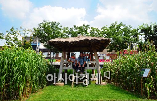 [포토]뜨거운 가을볕 피해서 