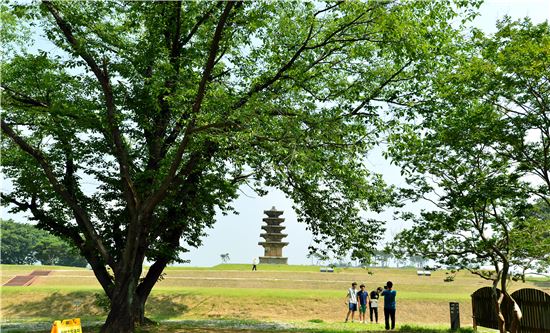 1400여년전 궁궐이 있었던 왕궁리, '백제'가 탑으로 서 있구나