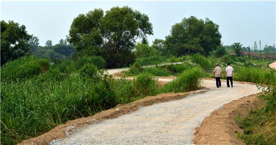1400여년전 궁궐이 있었던 왕궁리, '백제'가 탑으로 서 있구나