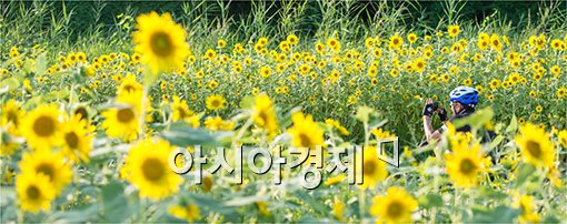 [포토]"여름의 끝을 담아요"
