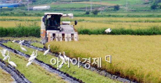 고흥군, 저탄소 농법 조평벼 수확 평가회 개최