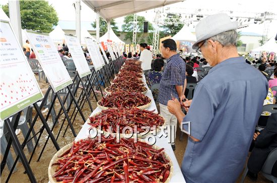 제17회 고창해풍고추축제, 31일 개막  이틀간 열려