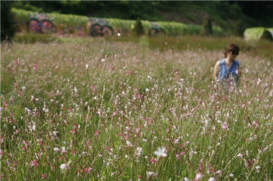 고독도 향기롭다, 9월行