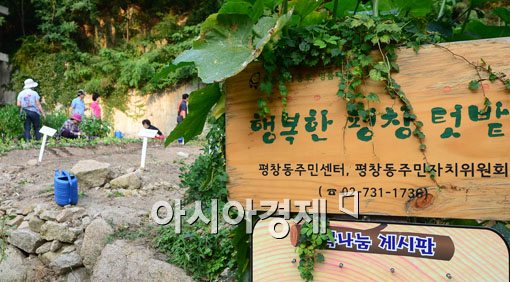 [포토]쓰레기 무단투기 상습지역에서 텃밭으로 