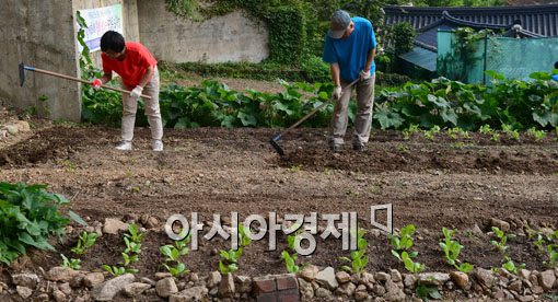 [포토]도시농부 