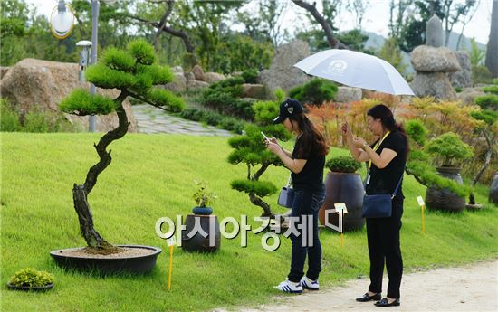 <순천정원박람회>가을맞이 분재관리요령 교육실시