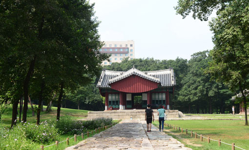 [서울스토리]강남 한복판서 만난 '조선 오디세이'