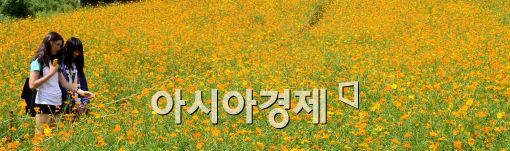 [포토]화창한 날씨 속 가을 냄새 물씬