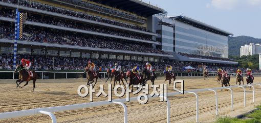 [포토]한-일 경주마 교류 경주