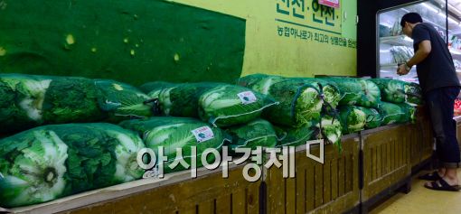[포토]추석 앞두고 배추값 급등